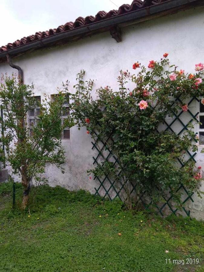 Bed and Breakfast BeB Infamiglia Cascinette Esterno foto